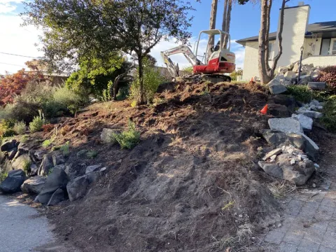 Driveway edge before the dry stone wall and walkway were built