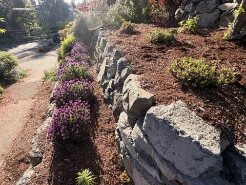 Dry stone driveway wall and walkway project, photo 10
