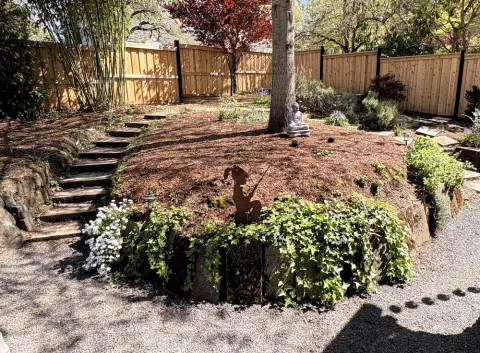 Yard before the dry stone retaining wall was built