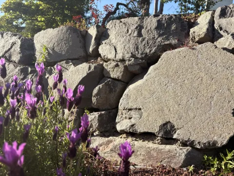 Dry stone driveway wall and walkway project, photo 7