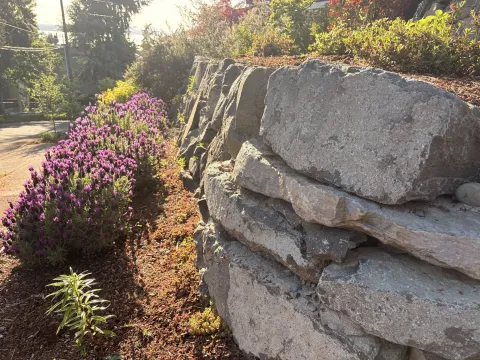 Dry stone driveway wall and walkway project, photo 6