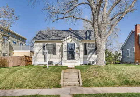 Yard in Englewood, Colorado before the dry stone wall was built